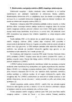 Referāts 'Elektronisko navigāciju sistēmu salīdzinājums', 4.