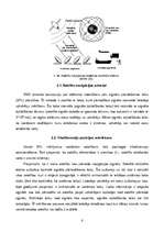 Referāts 'Elektronisko navigāciju sistēmu salīdzinājums', 6.