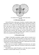 Referāts 'Elektronisko navigāciju sistēmu salīdzinājums', 8.