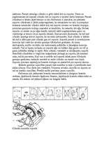 Prakses atskaite 'Automehāniķa kvalifikācijas prakses atskaite', 15.