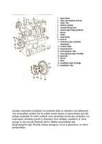 Prakses atskaite 'Automehāniķa kvalifikācijas prakses atskaite', 26.