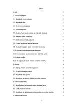 Referāts 'Sauļošanās paradumi Liepājas 1.ģimnāzijā un iedeguma gūšanas veidu ietekme uz ci', 2.