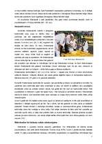 Referāts 'Ceļojuma "Nīderlande - savdabīgā Amsterdama" sagatavošana', 7.