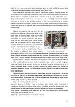 Referāts 'Ceļojuma "Nīderlande - savdabīgā Amsterdama" sagatavošana', 11.