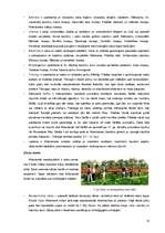 Referāts 'Ceļojuma "Nīderlande - savdabīgā Amsterdama" sagatavošana', 13.