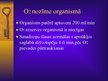 Prezentācija 'Elpošanas nodrošināšana pacientiem dzīvībai kritiskās situācijās', 9.