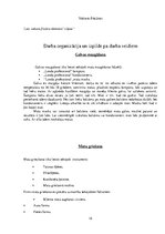 Prakses atskaite 'Frizieru prakses atskaite', 15.