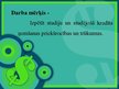 Referāts 'Studiju un studējošā kredīts- iespēja vai nasta?', 38.