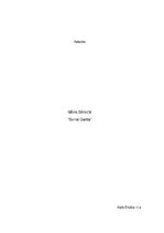 Konspekts 'Māris Bērziņš "Svina garša"', 1.