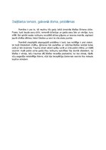 Konspekts 'Māris Bērziņš "Svina garša"', 5.