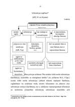 Referāts 'Administratīvās lietas izskatīšanas stadijas Rīgas pašvaldības policijā', 16.