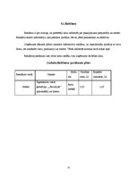 Biznesa plāns 'Biznesa plāns', 11.