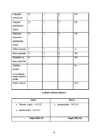 Biznesa plāns 'Biznesa plāns', 16.