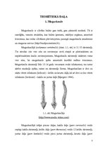 Referāts 'Starpskriemeļu diska uzbūve un iespējamās pataloģiskās izmaiņas', 3.