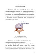 Referāts 'Starpskriemeļu diska uzbūve un iespējamās pataloģiskās izmaiņas', 5.