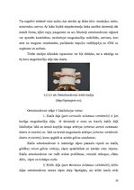 Referāts 'Starpskriemeļu diska uzbūve un iespējamās pataloģiskās izmaiņas', 15.