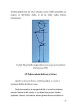 Referāts 'Starpskriemeļu diska uzbūve un iespējamās pataloģiskās izmaiņas', 25.