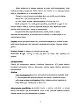 Konspekts 'Faringīts', 2.