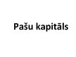 Prezentācija 'Pašu kapitāls', 1.