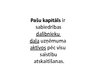 Prezentācija 'Pašu kapitāls', 2.