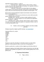 Biznesa plāns 'Biznesa plāns', 8.