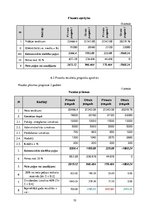 Biznesa plāns 'Biznesa plāns', 10.