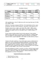 Biznesa plāns 'Biznesa plāns', 11.