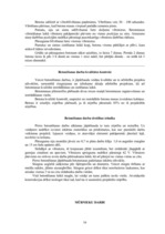 Referāts 'Būvdarbu veikšanas projekts', 12.