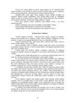 Referāts 'Būvdarbu veikšanas projekts', 15.