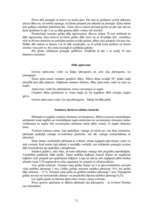 Referāts 'Būvdarbu veikšanas projekts', 17.