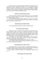 Referāts 'Būvdarbu veikšanas projekts', 19.