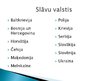 Prezentācija 'Slāvu kultūras reģions', 2.