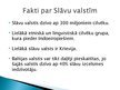 Prezentācija 'Slāvu kultūras reģions', 5.