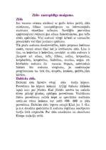 Eseja 'Apģērbs', 2.