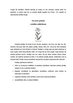 Konspekts 'Ārstniecības augi Latvijā', 5.