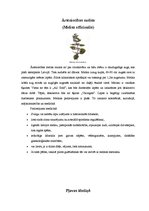 Konspekts 'Ārstniecības augi Latvijā', 9.