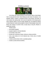 Konspekts 'Ārstniecības augi Latvijā', 10.