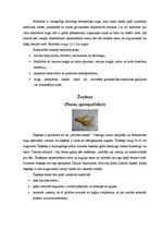 Konspekts 'Ārstniecības augi Latvijā', 14.