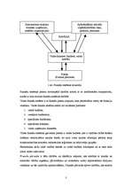 Konspekts 'Finanšu jēdziens, būtība. Finanšu sistēma un naudas plūsma', 3.
