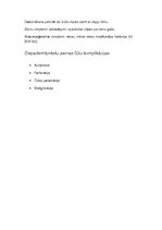 Referāts 'Divpadsmitpirkstu zarnu čūlas slimība', 7.