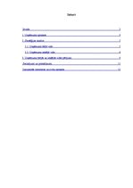 Referāts 'AS "Dzintars" stratēģijas analīze', 1.