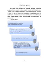 Referāts 'AS "Dzintars" stratēģijas analīze', 3.