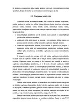 Referāts 'AS "Dzintars" stratēģijas analīze', 6.