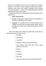 Referāts 'Tieksme pie ideāla un dzīvības iespēja', 9.