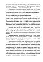 Referāts 'Tieksme pie ideāla un dzīvības iespēja', 11.