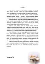 Konspekts 'Ievads loģistikā', 4.