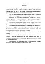 Referāts 'SIA "X" darbība', 2.