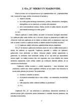 Referāts 'SIA "X" darbība', 4.