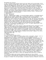 Eseja 'SonyEricsson Alliance and Cultural Analyse ', 1.