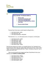 Konspekts 'Plural Nouns. All Forms', 1.